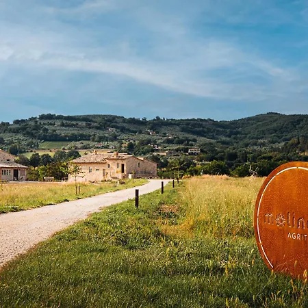Alloggio per agriturismo Molinella *